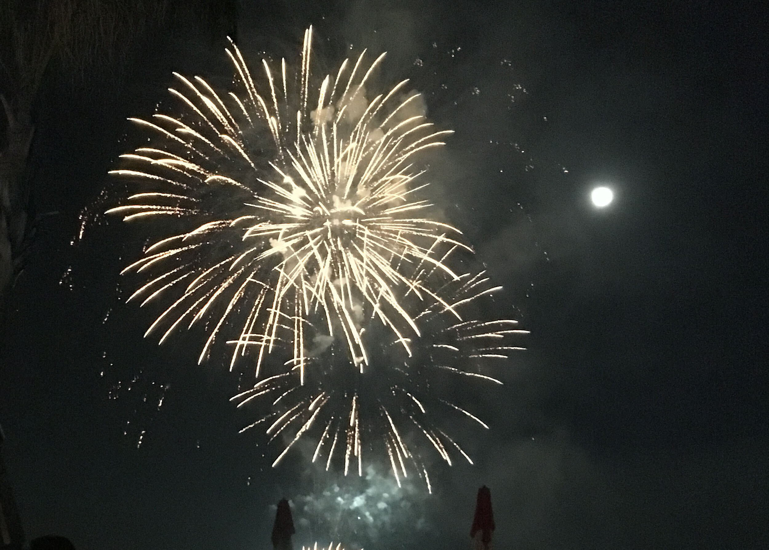solstice19.jpg