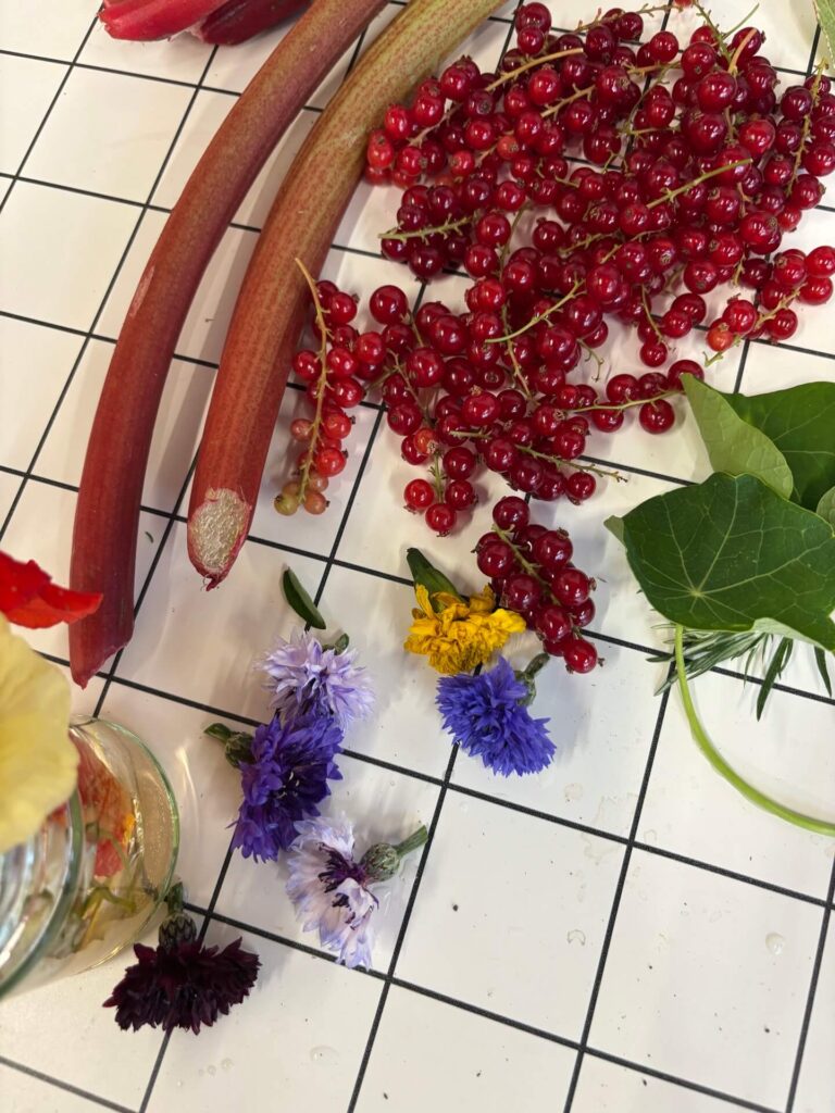 foraged rhubarb, redcurrants, leaves and flowers