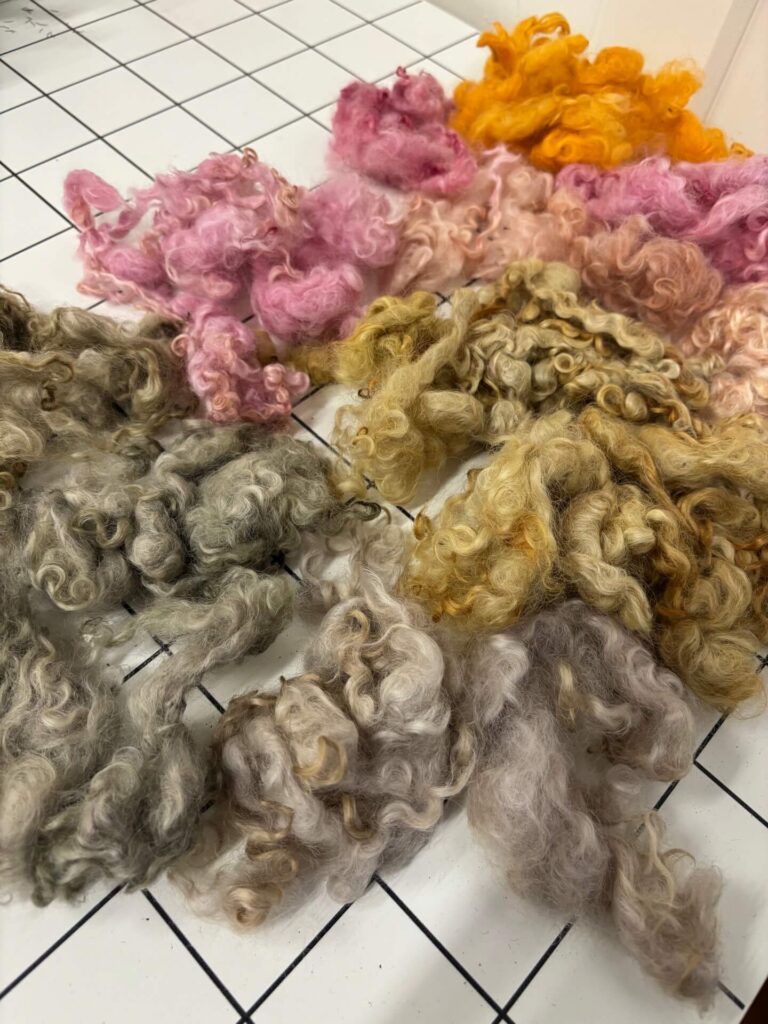 bundles of frizzy wool coloured with natural dyes