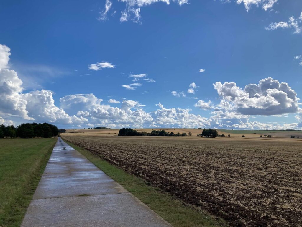 view of wet country road and harvested field blue skies and white clouds